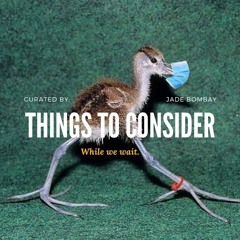 Things to Consider