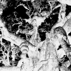 Everything Is Horrible