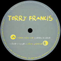 Terry Francis - Took From Me