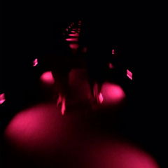 グルーヴ蛙