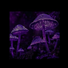 shroom (prod. a2suede)
