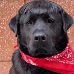 kno u love that - final