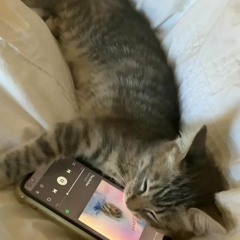 Ikyd.m4a (tôi biết em không biết w daily guitar)