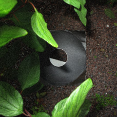 Inner Voices (intro)