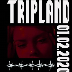 TRIPLAND | POLY CHAIN | 01.02.2020