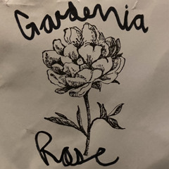 Gardenia Rose