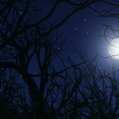 its ok freestlye (prod. E L I)