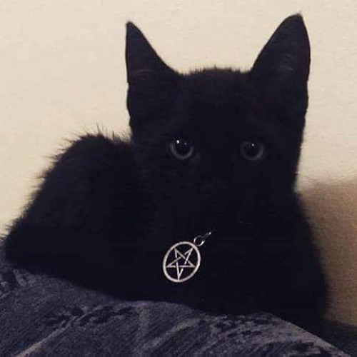 CURSED IN ETERNITY OF DEATH