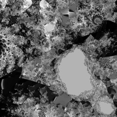 Die zweite Stimme - the second voice