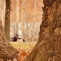 Fariborz Lachini Paeez talaee Golden Autumn piano