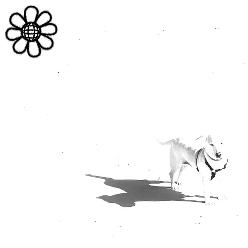 szkoda - whiteout lodge vol. 1