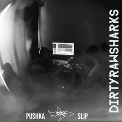 Pushka & Slip - DRS  - Пришёл, Услышал, Записал