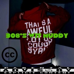 308’s wit muddy