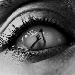 cæcus excerpta vol. 1