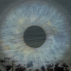 JET Sessions Volume 5