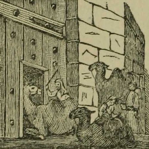 My Image 19