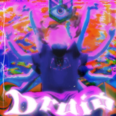 DRUID [lil biscuit]