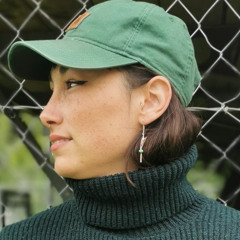 Chaotic Harbounce [Condensed]