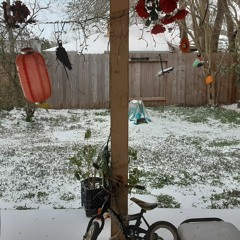 Jo - That Texas Snow