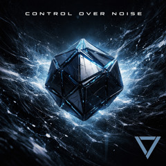 Vidani - Control Over Noise