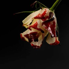 Betrayal; A Dripping Rose