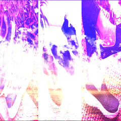 skechers edit