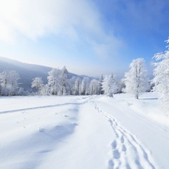 Ice Plains