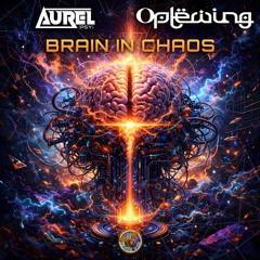 Brain in Chaos
