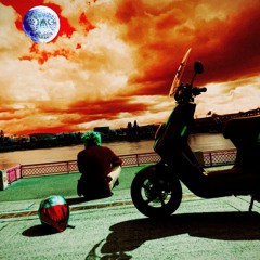 I Was Never Really There