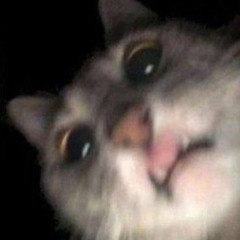 im scared of my surroundings