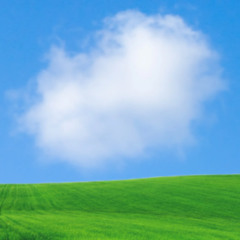 image (40) (works-and-days-cutter.com)