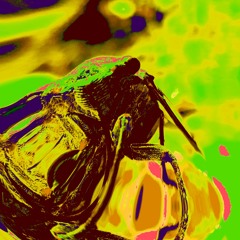 projet "Pleasur Danger" demo