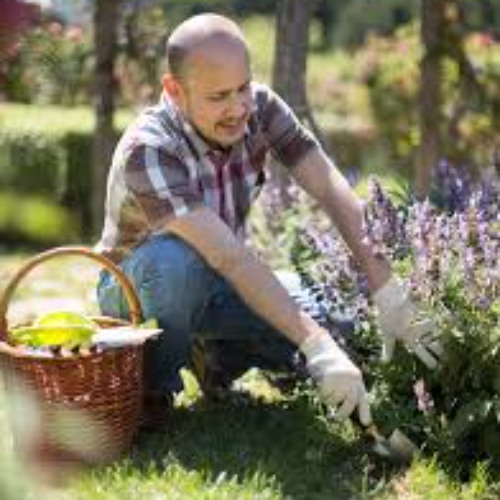 Aprenda remover o que te impede de crescer.