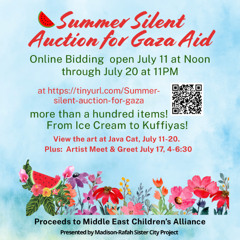 Using Local Power to Help Gaza