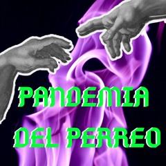 PANDEMIA DEL PERREO - WHYMOUSE
