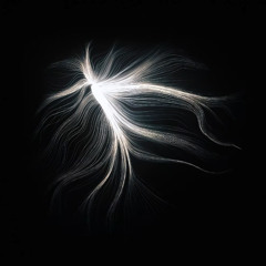 Stargazer