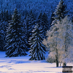 Summer Solstice/Winter Break