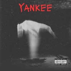 Yankee