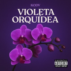 VIOLETA ORQUÍDEA