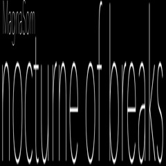 NocturneOfBreaks