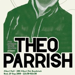 Theo Parrish @ Albert Hall, Woodstock 2010