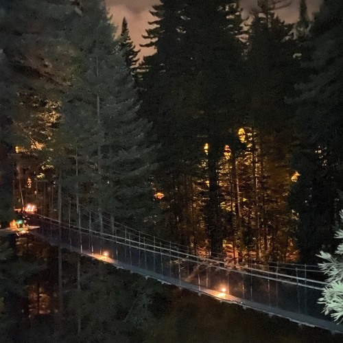 Untitled playlist