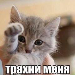 Nefor - Я называю пидора - пидором! Я называю нигера - нигером!