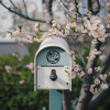 Love Letter / March 2025 DJ mix artwork - Electronic music tracklist cover image