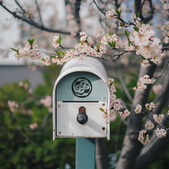 Love Letter / March 2025