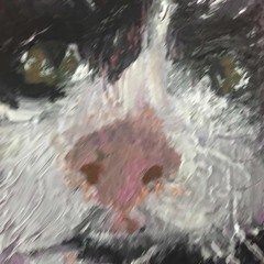 Pusskins 2