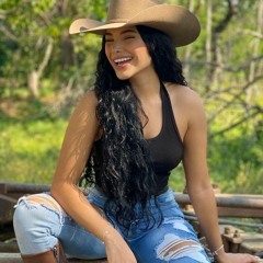 Sertanejo - Mais Tocadas