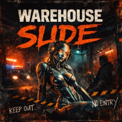 WareHouse Slide