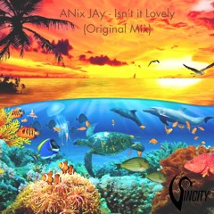 FREE DL: ANix JAy - Isn't It Lovely (Original Mix)