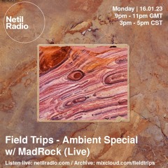 Field Trips - Hypnotic Meditations w/ MadRock